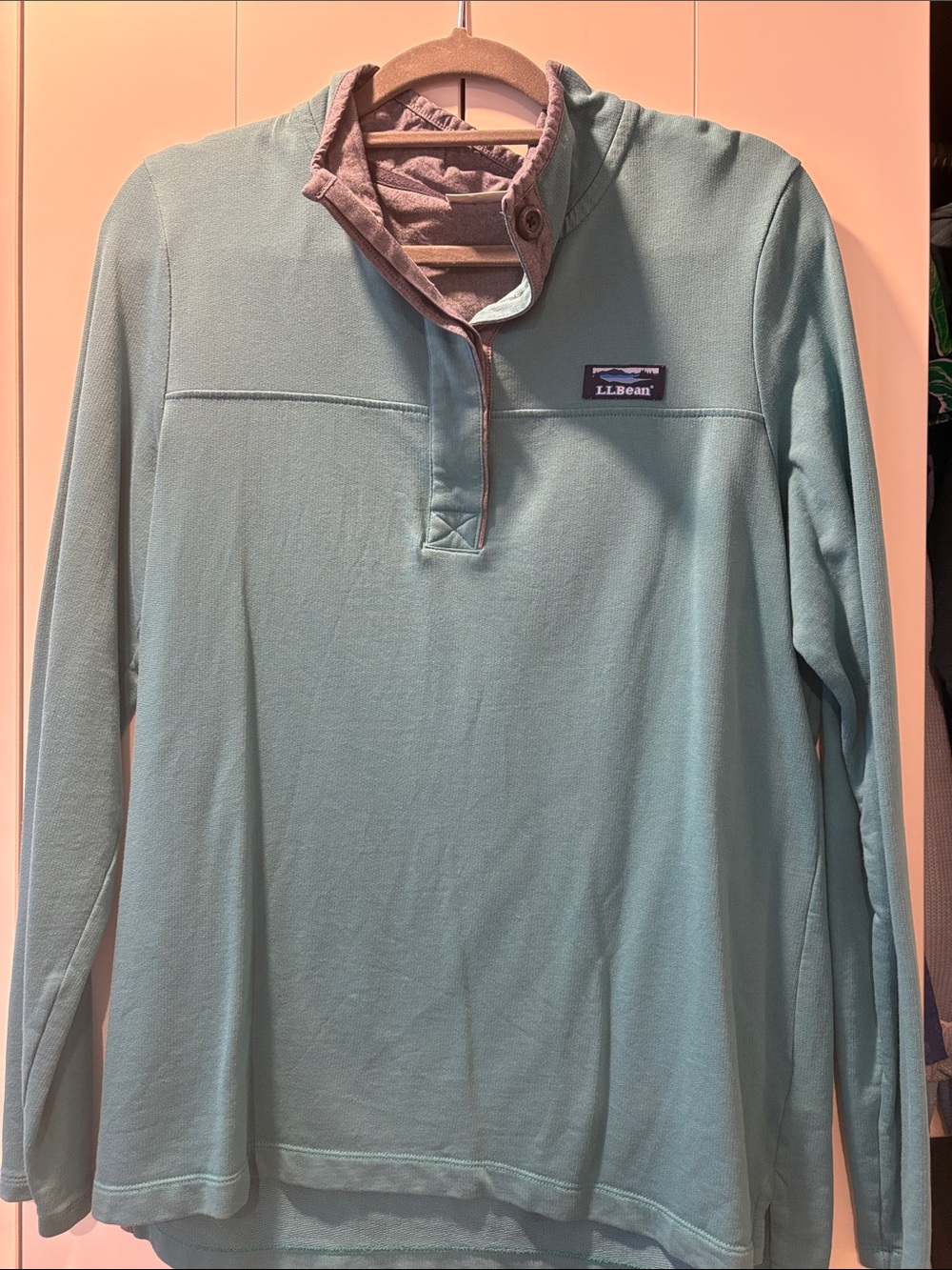 L.L. Bean Teal Pullover with Contrast Trim